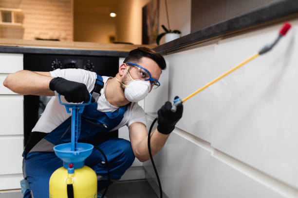 Best Bed Bug Extermination  in Garnet, CA