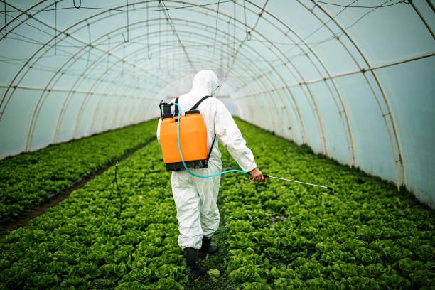 Best Exterminator Services  in Garnet, CA