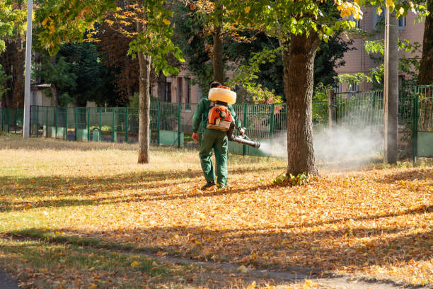 Best Mosquito Control Services  in Garnet, CA