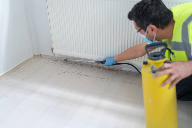 Best Best Pest Control Companies  in Garnet, CA