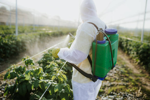 Best Affordable Pest Control Services  in Garnet, CA